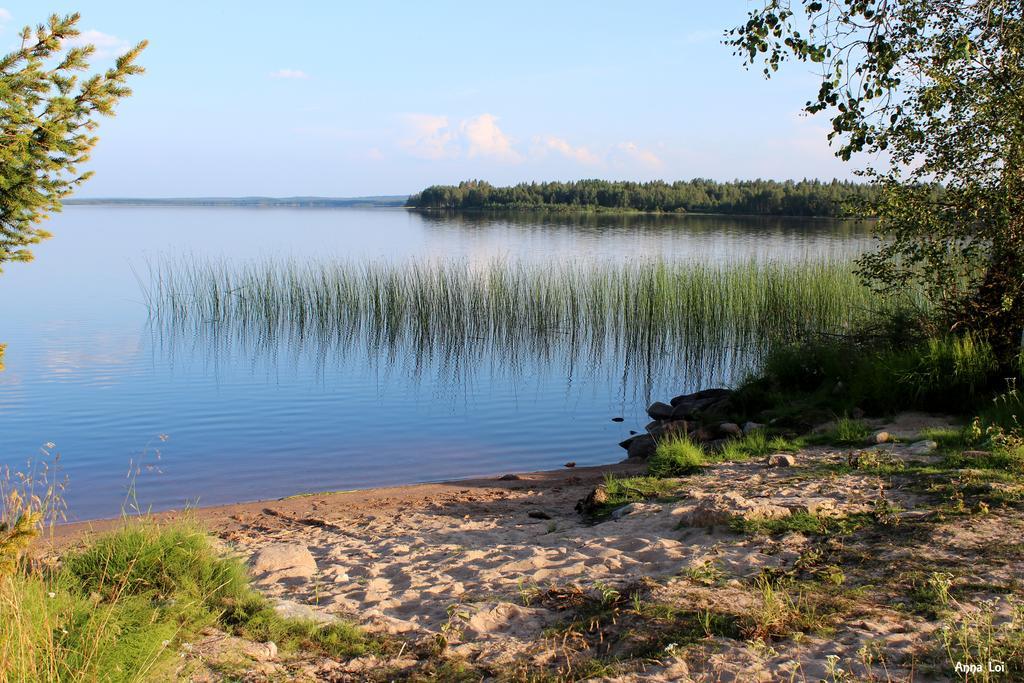 فيلا Ahosen Lomamoekit Vikajärvi المظهر الخارجي الصورة