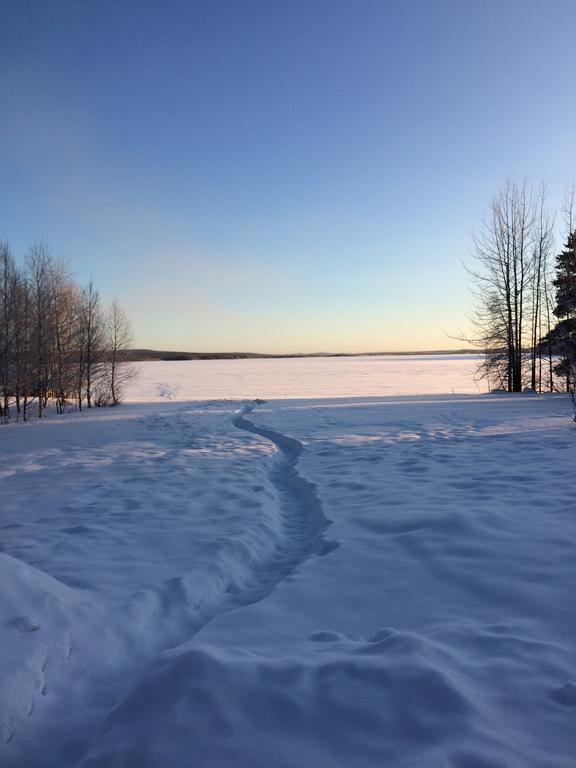 فيلا Ahosen Lomamoekit Vikajärvi المظهر الخارجي الصورة