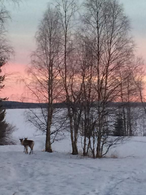 فيلا Ahosen Lomamoekit Vikajärvi المظهر الخارجي الصورة